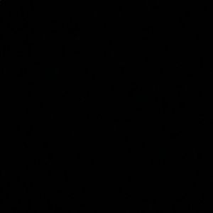 Meet your Posher, Ariel